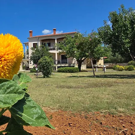 With Parking Space Buici, - 24819 Apartamento